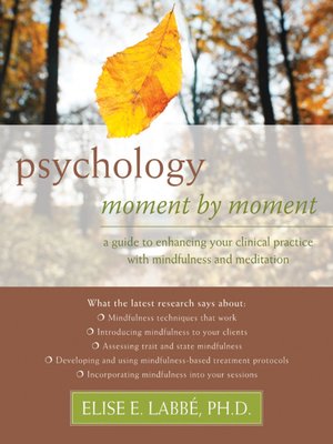 cover image of Psychology Moment by Moment